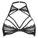 HKM:5