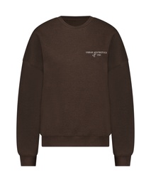 Oversized Sweater - Brown, Marron, coloris