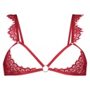 HKM:5