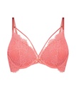 HKM:5