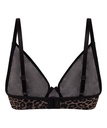 HKM:6